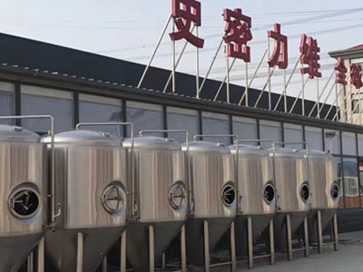 正阳精酿啤酒设备厂—市场规模与跨界新需求